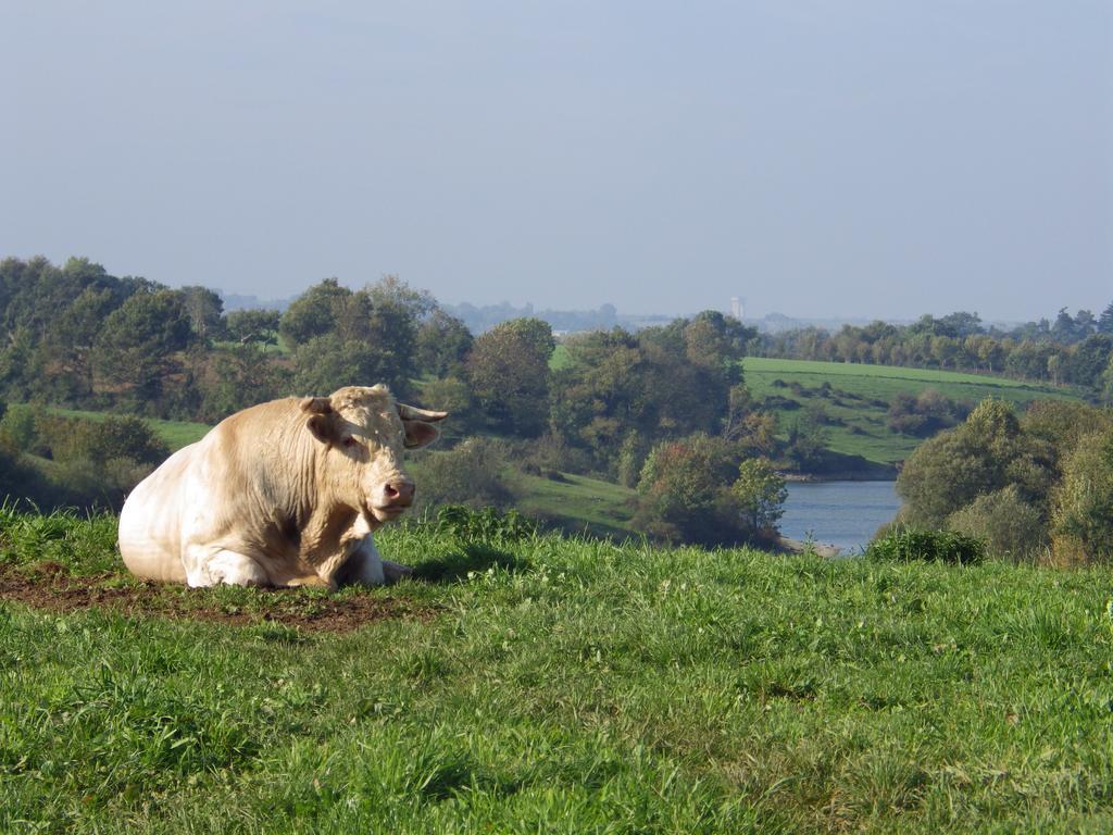 A La Haute Bouillere Bed and Breakfast Chavagnes-les-Redoux Buitenkant foto