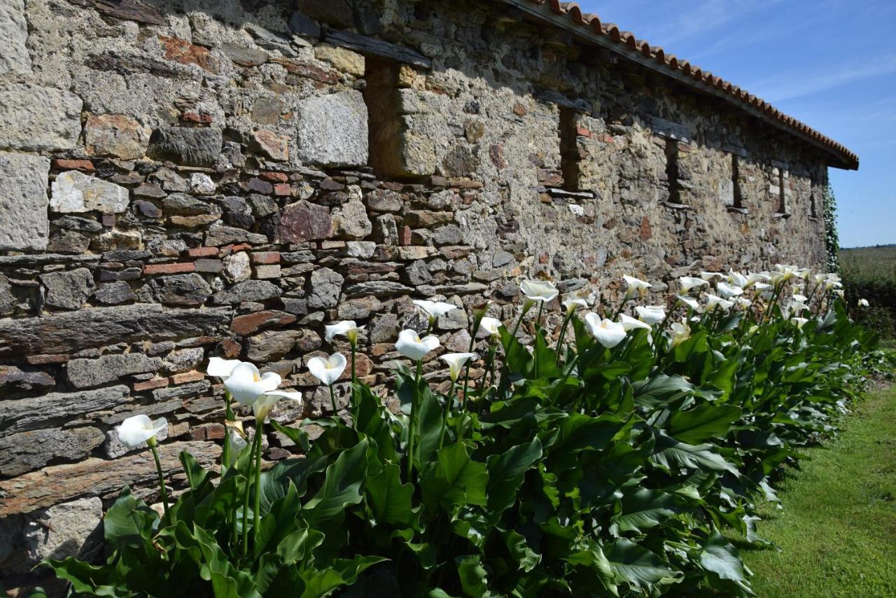 A La Haute Bouillere Bed and Breakfast Chavagnes-les-Redoux Buitenkant foto